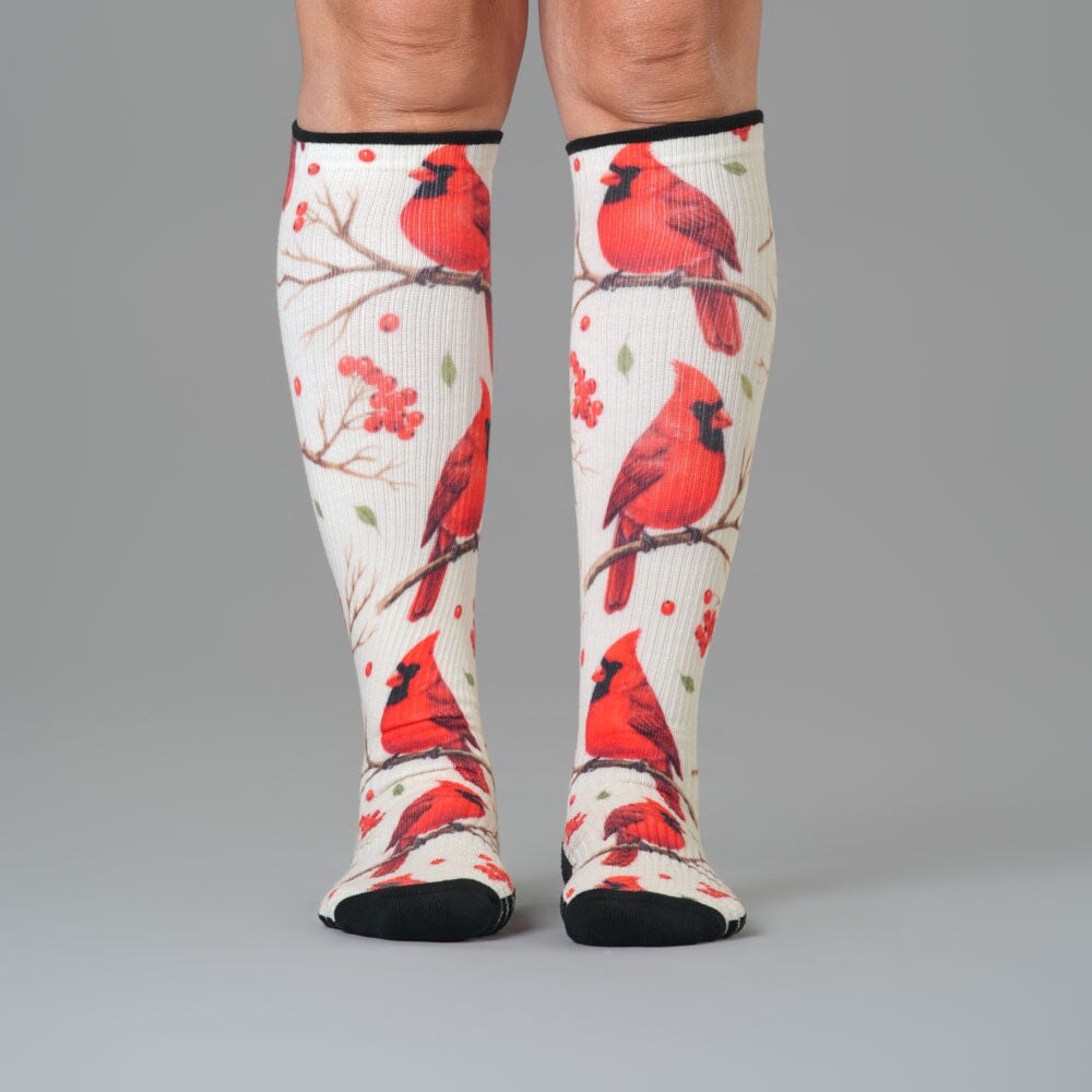 Backyard Birds Compression Socks 5-Pack Bundle