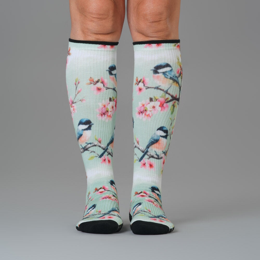 Backyard Birds Compression Socks 5-Pack Bundle