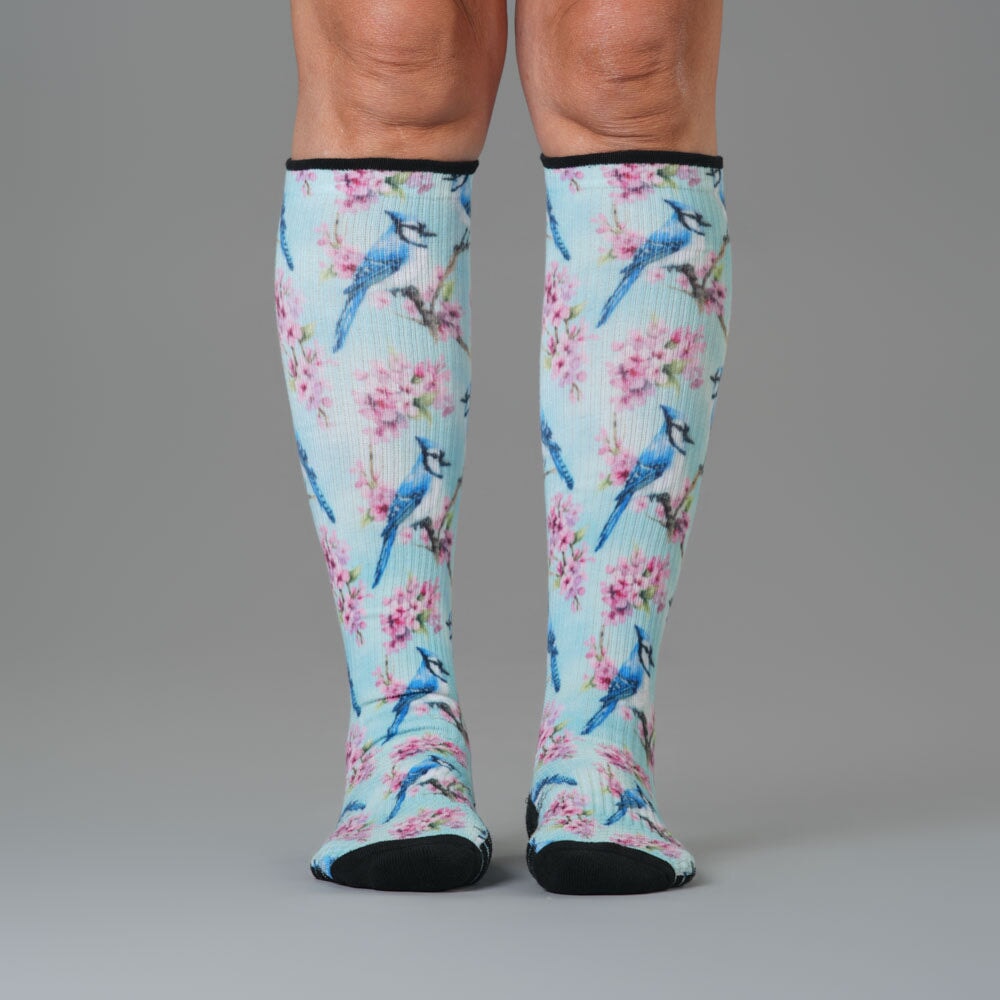 Backyard Birds Compression Socks 5-Pack Bundle